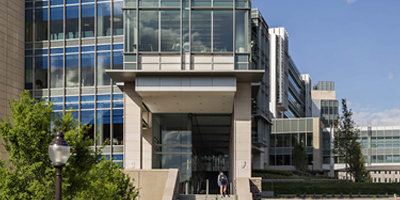 School of Medicine