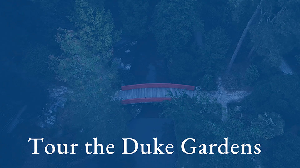 Tour the Duke Gardens Video